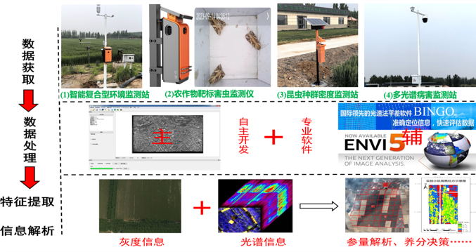 山东齐河智慧农场案例